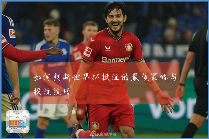 如何判断世界杯投注的最佳策略与投注技巧