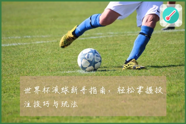 世界杯滚球新手指南，轻松掌握投注技巧与玩法