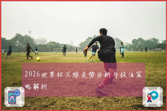 2026世界杯买球走势分析与投注策略解析