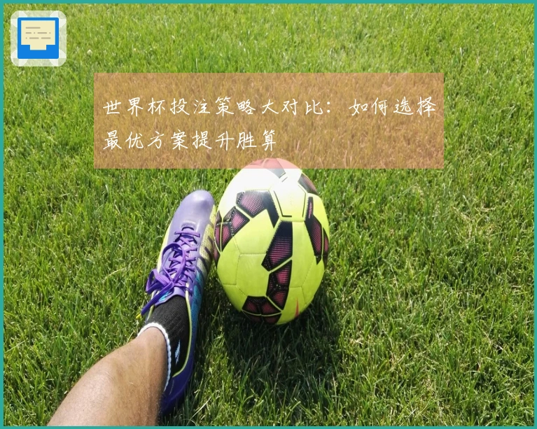 世界杯投注策略大对比：如何选择最优方案提升胜算