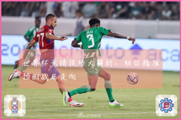 世界杯竞猜技巧大解析，助你精准预测战局走向