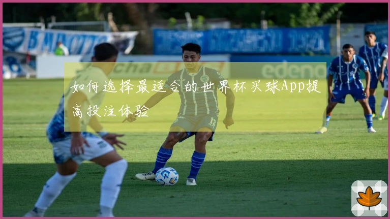 如何选择最适合的世界杯买球App提高投注体验
