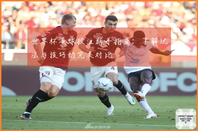 世界杯滚球投注新手指南：了解玩法与技巧的完美对比