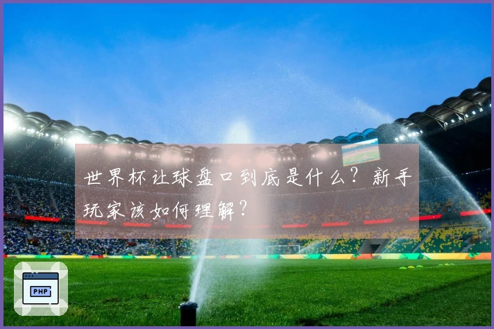 世界杯让球盘口到底是什么？新手玩家该如何理解？