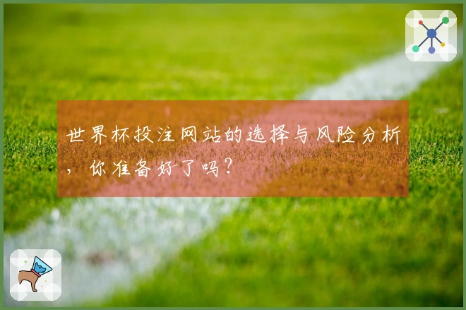 世界杯投注网站的选择与风险分析，你准备好了吗？