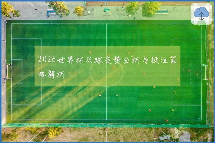 2026世界杯买球走势分析与投注策略解析