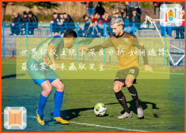 世界杯投注玩法深度分析 如何选择最优策略来赢取奖金