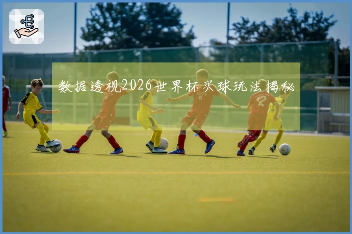数据透视2026世界杯买球玩法揭秘