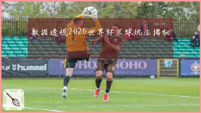 数据透视2026世界杯买球玩法揭秘
