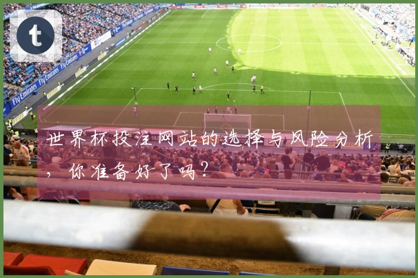 世界杯投注网站的选择与风险分析，你准备好了吗？